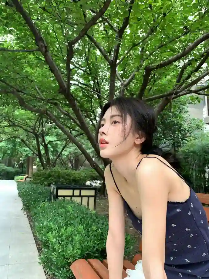 冰点文库下载器界面